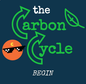 Preview of Carbon Cycle Interactive: SELF-GRADING + NO PREP