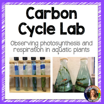 Preview of Carbon Cycle Lab- Photosynthesis and Respiration