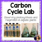 Carbon Cycle Lab- Photosynthesis and Respiration