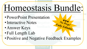 Preview of Homeostasis, Positive, and Negative Feedback Bundle