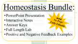Homeostasis, Positive, and Negative Feedback Bundle