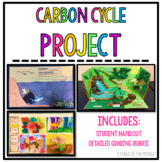 Carbon Cycle Project