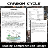 Carbon Cycle Reading Comprehension Passage and Questions |