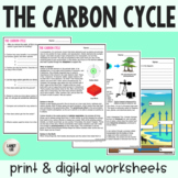 Carbon Cycle - Reading Comprehension Worksheets