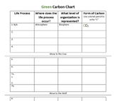 Carbon Cycle Simulation