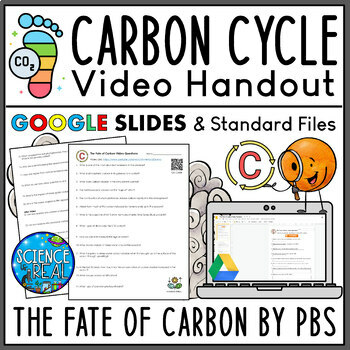 Preview of Carbon Cycle Video Handout - The Fate of Carbon Documentary Video Handout
