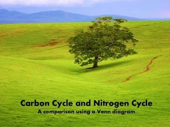 Preview of Carbon Cycle vs. Nitrogen Cycle