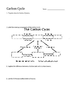 The cycle on worksheet carbon Carbon And