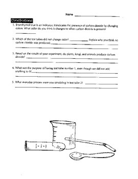 Carbon Dioxide Here (experiment in sources of carbon dioxide) | TPT