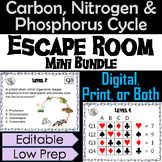 Carbon, Nitrogen, and Phosphorus Cycle Activity: Earth Sci