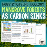 Carbon Sinks & Mangrove Forests