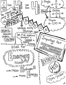 Carbon Sketch Notes Doodle Notes W/Teacher Guide & Student Note by DrM