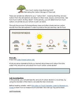 Preview of Carbon Storage Tree Lab: Measure the amount of carbon stored in your trees