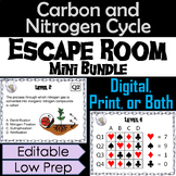 Carbon & Nitrogen Cycle Activity:  Environmental Science E