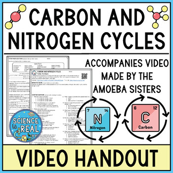 Preview of Carbon and Nitrogen Cycles Amoeba Sisters Handout