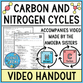 Carbon and Nitrogen Cycles Amoeba Sisters Handout