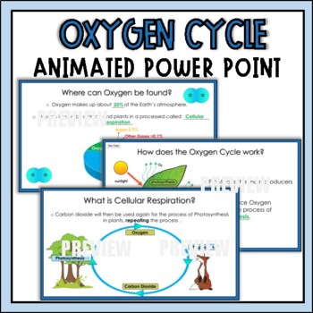 carbon oxygen cycle animation