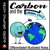 Carbon Cycle Guided Graphic Notes