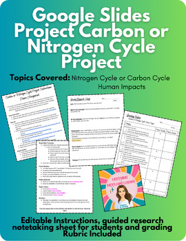 Preview of Carbon or Nitrogen Cycle, Human Impact Slides Presentation Project