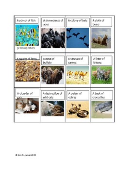 Preview of Card Games for Collective Animal Names