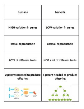 compare sexual reproduction and asexual reproduction