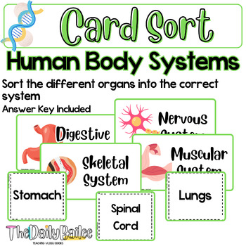 Preview of Card Sort - Human Body Systems