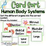 Card Sort - Human Body Systems