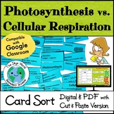 Card Sort Activity - Photosynthesis vs. Cellular Respiration w Cut & Paste