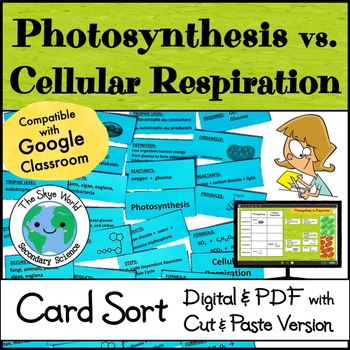 Preview of Card Sort Activity - Photosynthesis vs.  Respiration - Digital + PDF Cut & Paste