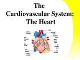 Cardiac Anatomy & Physiology pdf