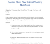 Cardiac Blood Flow Case Study
