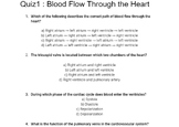 Cardiac Cycle Quiz 1