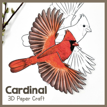 Preview of Cardinal | 3D Paper Bird| Printable Animal Craft | Cardinals
