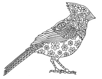 Download Cardinal Bird Zentangle Coloring Page By Pamela Kennedy Tpt