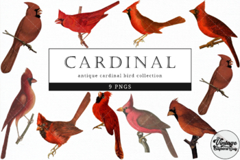 cardinal reading a book clipart