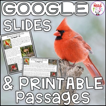 Preview of Cardinals NONFICTION GOOGLE SLIDES and PRINTABLE Passages and Activities