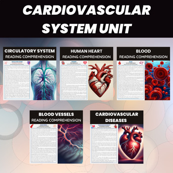 Preview of Cardiovascular & Circulatory System | Function, Organs, Diseases | Human Biology