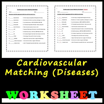 Preview of Cardiovascular Diseases - Matching Worksheet with Answers!