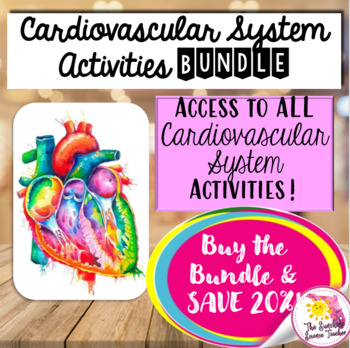Preview of Cardiovascular System Activities Bundle