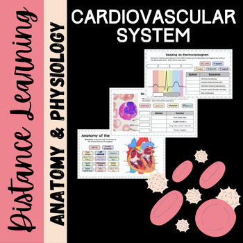 Preview of Cardiovascular System Anatomy: Distance Learning Activity