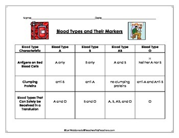 Preview of Cardiovascular System: Blood Types and Their Markers Data Table