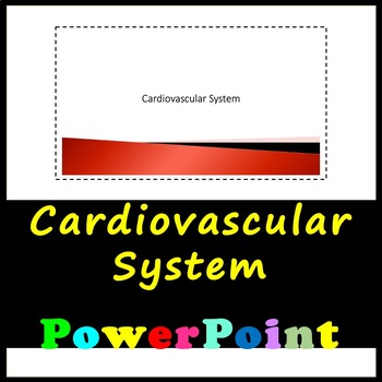 Preview of Cardiovascular System - Bundle Resources with Answers Included!