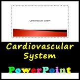 Cardiovascular System - Bundle Resources with Answers Included!