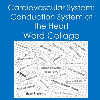 Preview of Cardiovascular System: Conduction System Word Collage (Coloring, EKG, Heart)