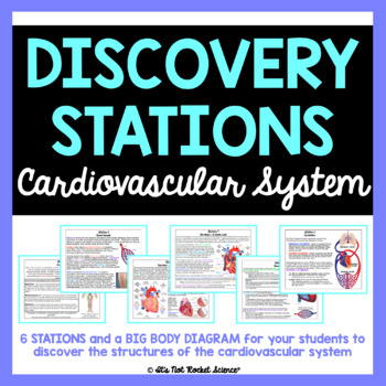 Preview of Cardiovascular System Diagram and Discovery Stations