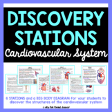 Cardiovascular System Diagram and Discovery Stations