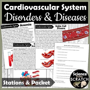 Preview of Cardiovascular System Disorders and Diseases Stations