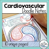 Cardiovascular System Doodle Notes - Distance Learning Compatible
