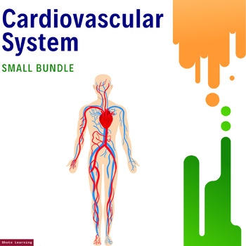 Preview of Cardiovascular System Essentials Bundle: Unveiling the Heart of Health