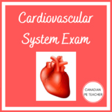 Exercise Science Cardiovascular System Exam